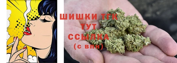 сатива Абинск