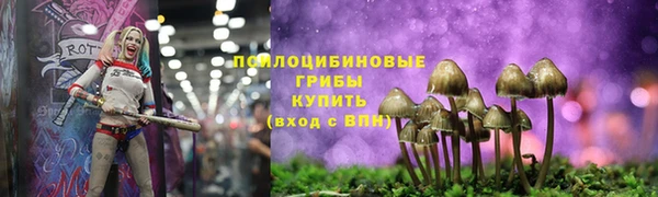 сатива Абинск
