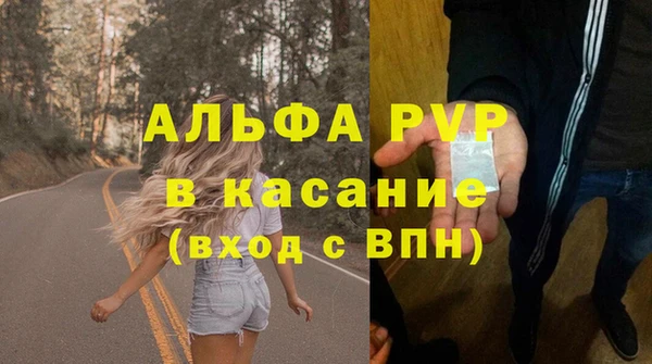 сатива Абинск