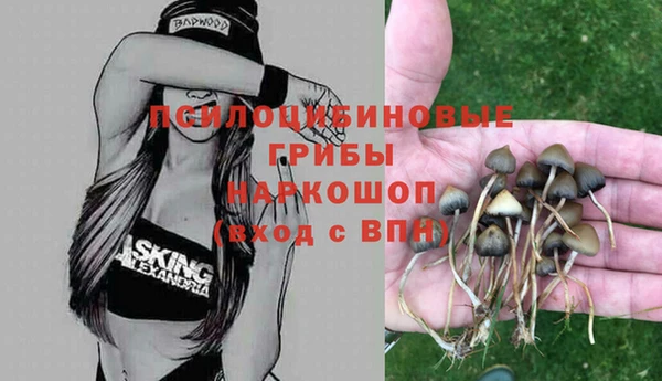 бошки Абаза